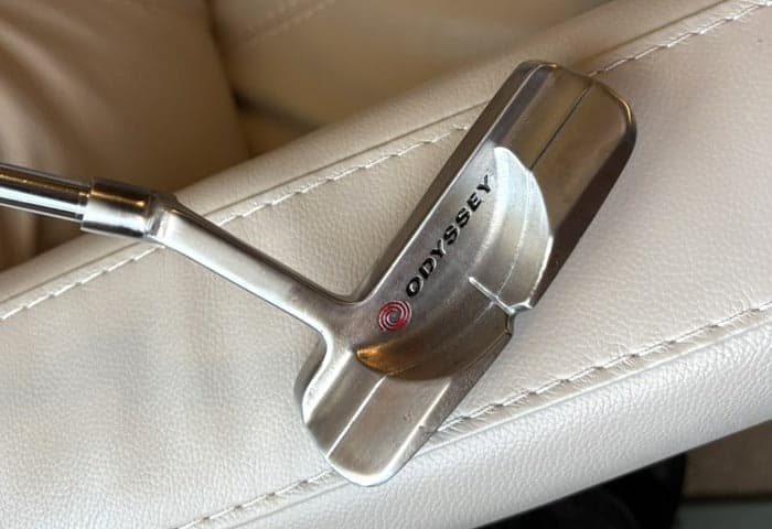 Crank (plumber's-style) neck on an Odyssey White Ice #4 blade putter showing back cavity and hosel design